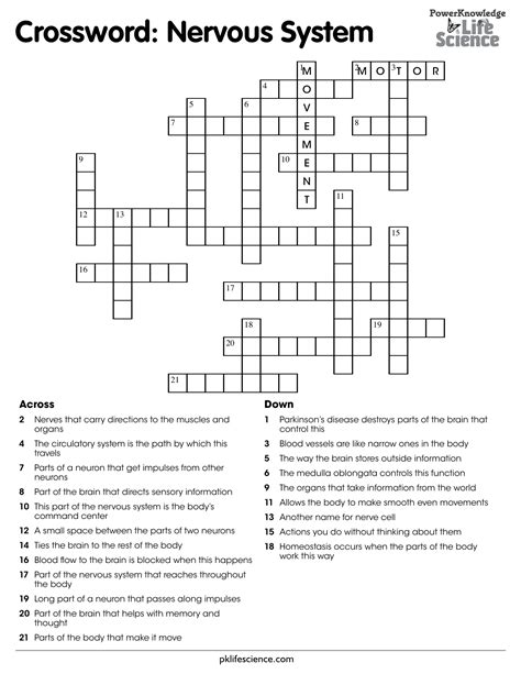 Nervous System Crossword Puzzle Answers Doc