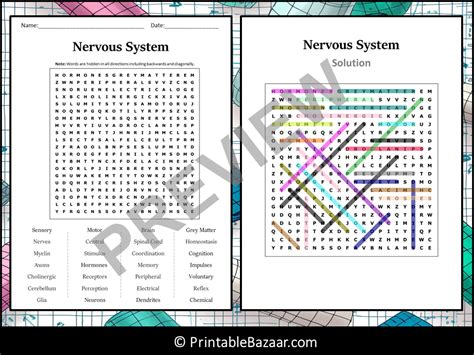 Nervous System Word Search Answers Key PDF