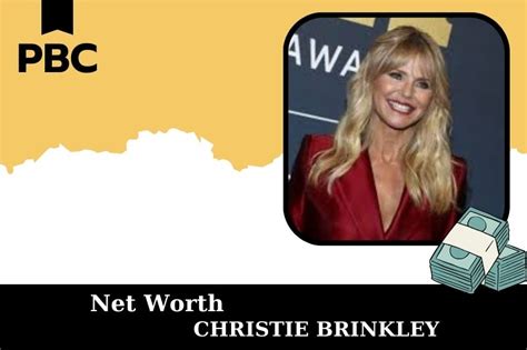 Net Worth $80 Million: Christie Brinkley's Journey to Financial Success