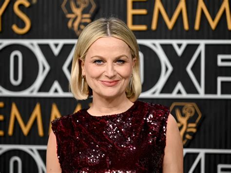 Net Worth of Amy Poehler: A Detailed Examination of Her Acting, Writing, and Producing Career