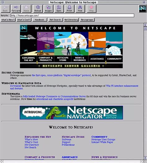 Netscape Navigator 2.0 Surfing The Web And Exploring The Internet : Windows Version Reader