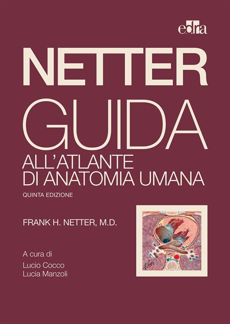 Netter Atlante Anatomia Umana E Guida Ebook PDF