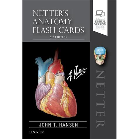 Netter s Anatomy Flash Cards Netter Basic Science Doc