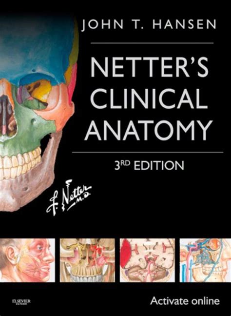 Netter s Clinical Anatomy E-Book Netter Basic Science Kindle Editon