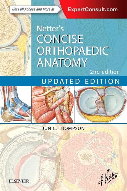 Netter s Concise Orthopaedic Anatomy E-Book Updated Edition Netter Basic Science Reader