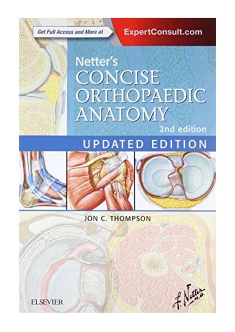 Netter s Concise Orthopaedic Anatomy E-Book Updated Edition Netter Basic Science Reader