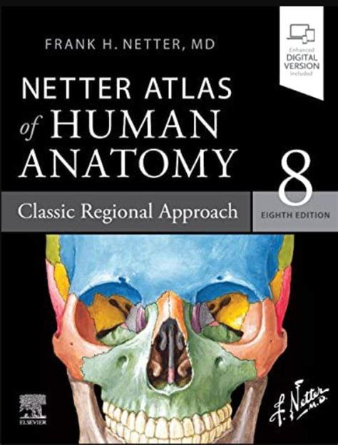 Netters Atlas of Human Anatomy PDF Free Download Kindle Editon