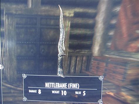 Nettlebane Skyrim: A Comprehensive Guide