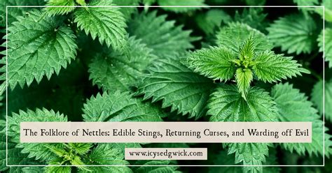 Nettles Those Tiny Stings in Your Soul. Epub