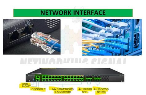 Network Interface: A Comprehensive Guide