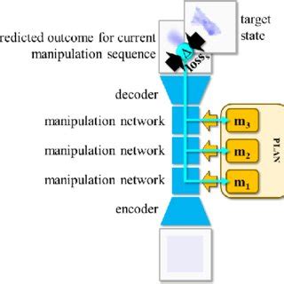 Network Manipulation: