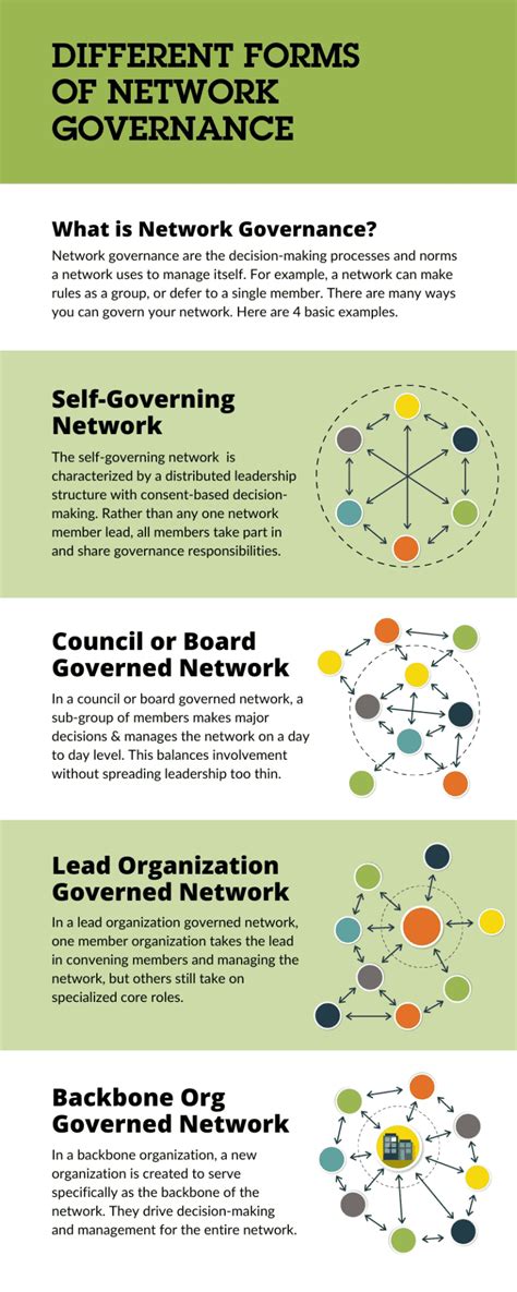 Networked Governance PDF