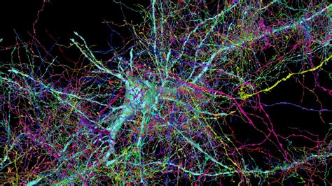 Neural Mapping: