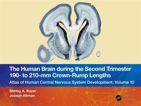 Neural Web Human Book 3 Volume 3 Doc