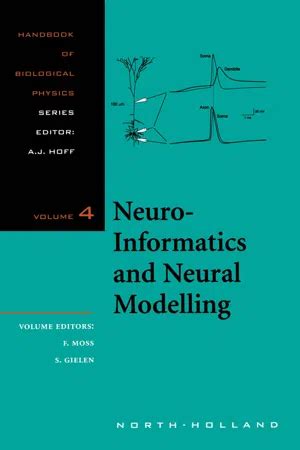 Neuro-informatics and Neural Modelling PDF