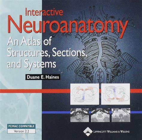 Neuroanatomy An Atlas of Structures Sections and Systems Kindle Editon