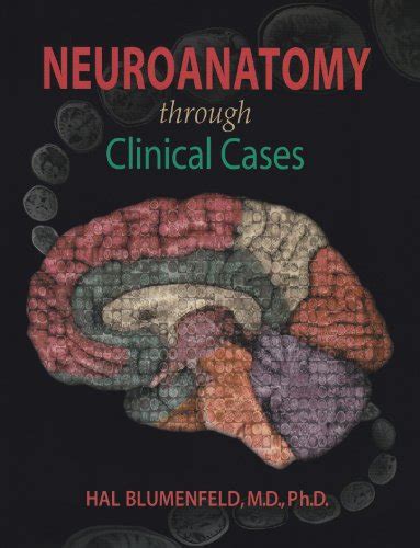 Neuroanatomy Through Clinical Cases 2nd Ed Neuroscience 4th Ed Doc