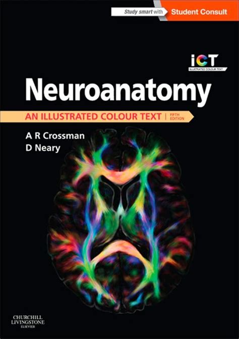 Neuroanatomy an illustrated colour text Ebook Epub