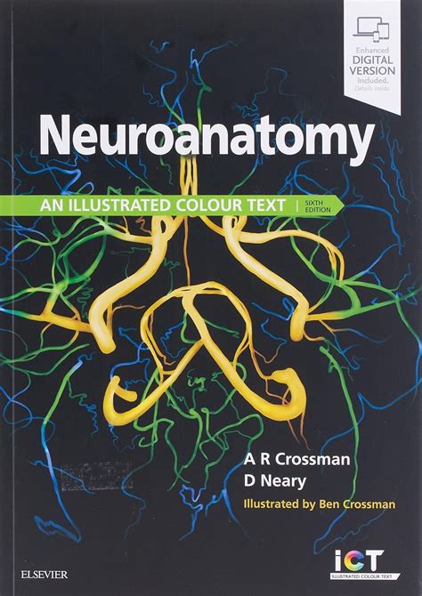 Neuroanatomy an illustrated colour text Ebook Epub