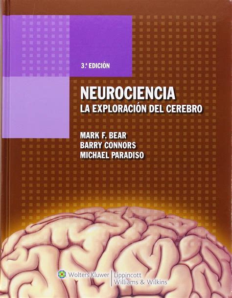 Neurociencia La exploraciÃ³n del cerebro Spanish Edition PDF
