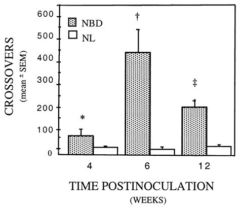 Neurodevelopmental Damage: