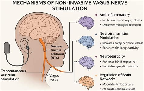 Neurological Stimulation: