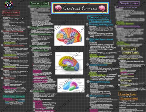 Neurology Colour Guide Epub