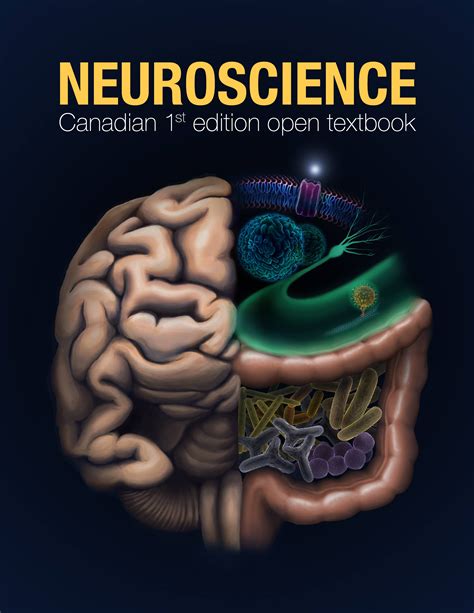 Neurophysics of Consciouness Neuroscience 1st Edition Doc