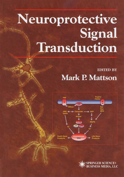 Neuroprotective Signal Transduction 1st Edition Kindle Editon