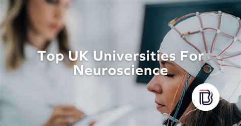 Neuroscience Best Universities: Shaping the Future of Brain Science