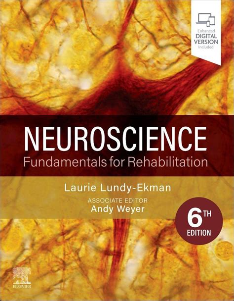 Neuroscience E-Book Fundamentals for Rehabilitation PDF