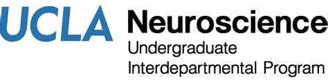Neuroscience Major at UCLA: A Gateway to the Human Mind