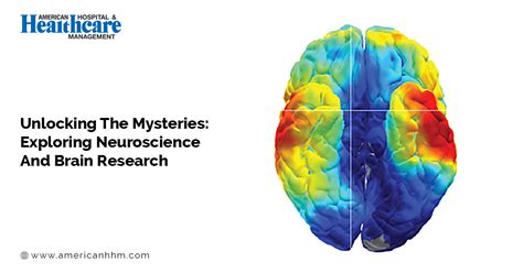 Neuroscience at Bowdoin: Exploring the Mind and Its Mysteries