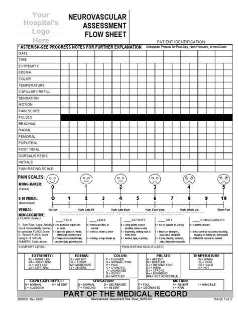 Neurovascular assessment flow sheet Ebook Epub