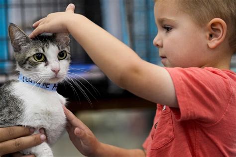 Neuter Clinic Near Me: Your Ultimate Guide to Affordable Pet Care