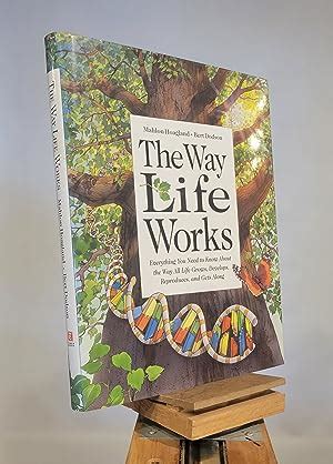 New A Way of Life That Works Volume 95 Number 1 January 1972 PDF