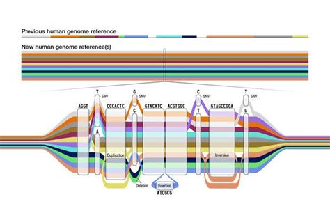 New Human Genetics Epub