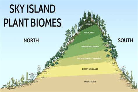 New Islands and Biomes