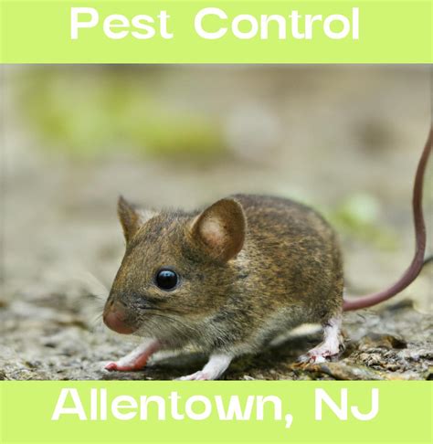 New Jersey's Pest Problem: A Growing Concern