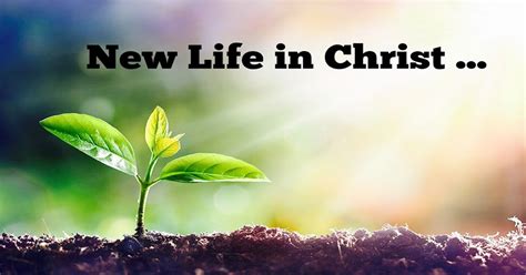 New Life in Christ Kindle Editon