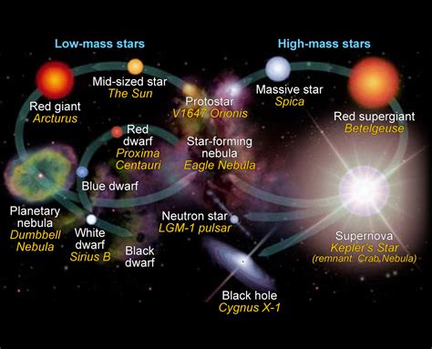 New Light on Dark Stars Red Dwarfs, Low-Mass Stars, Brown Stars 2nd Edition Reader
