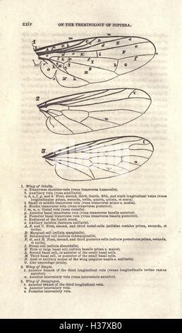 New Species of North American Coleoptera Prepared for the Smithsonian Institution... Reader