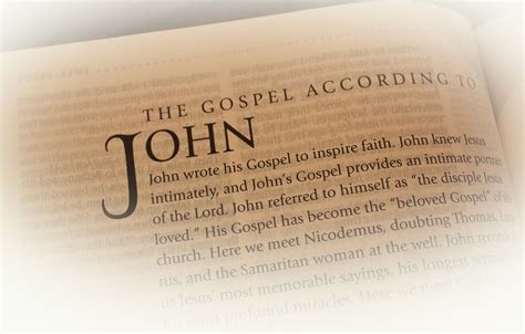 New Testament The Gospel of John The World of Promise Next Generation Epub