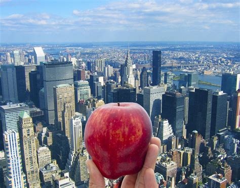 New York, New York!: The Big Apple from A to Z Ebook Epub