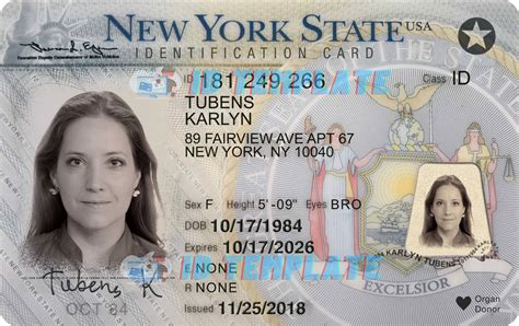 New York Id Card Template