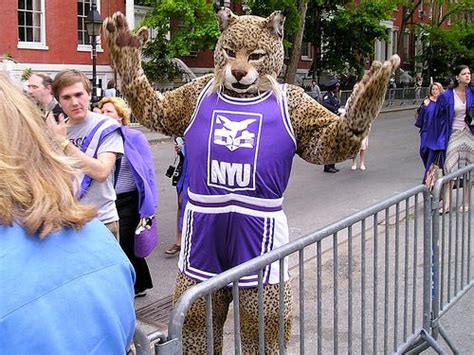 New York University Bobcat: A Comprehensive Guide