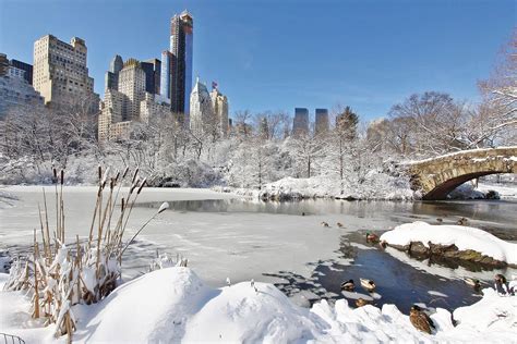 New York in the Snow Doc