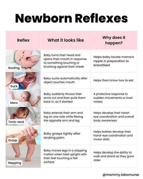 Newborn Reflexes Chart