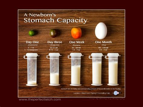 Newborn Stomach Capacity Chart