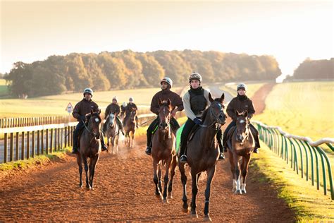 Newmarket's Horse Racing Legacy